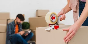 DIY Proffessional Mover